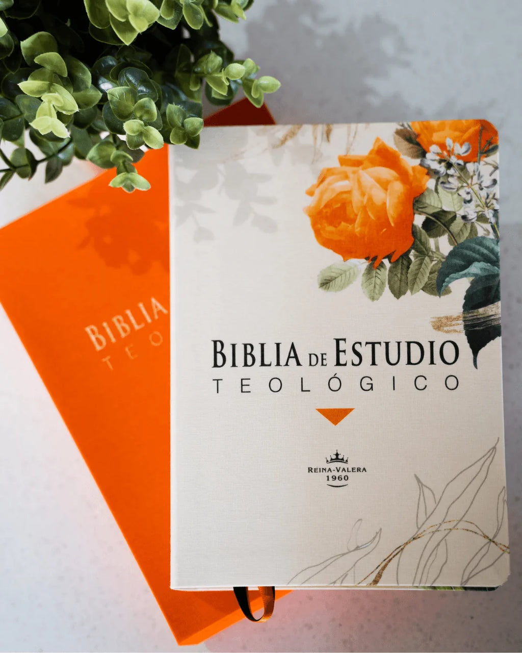 RVR60: BIBLIA DE ESTUDIO TEOLOGICO