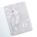 LIBRO DE COLOREAR: LOS SALMOS EN COLOR