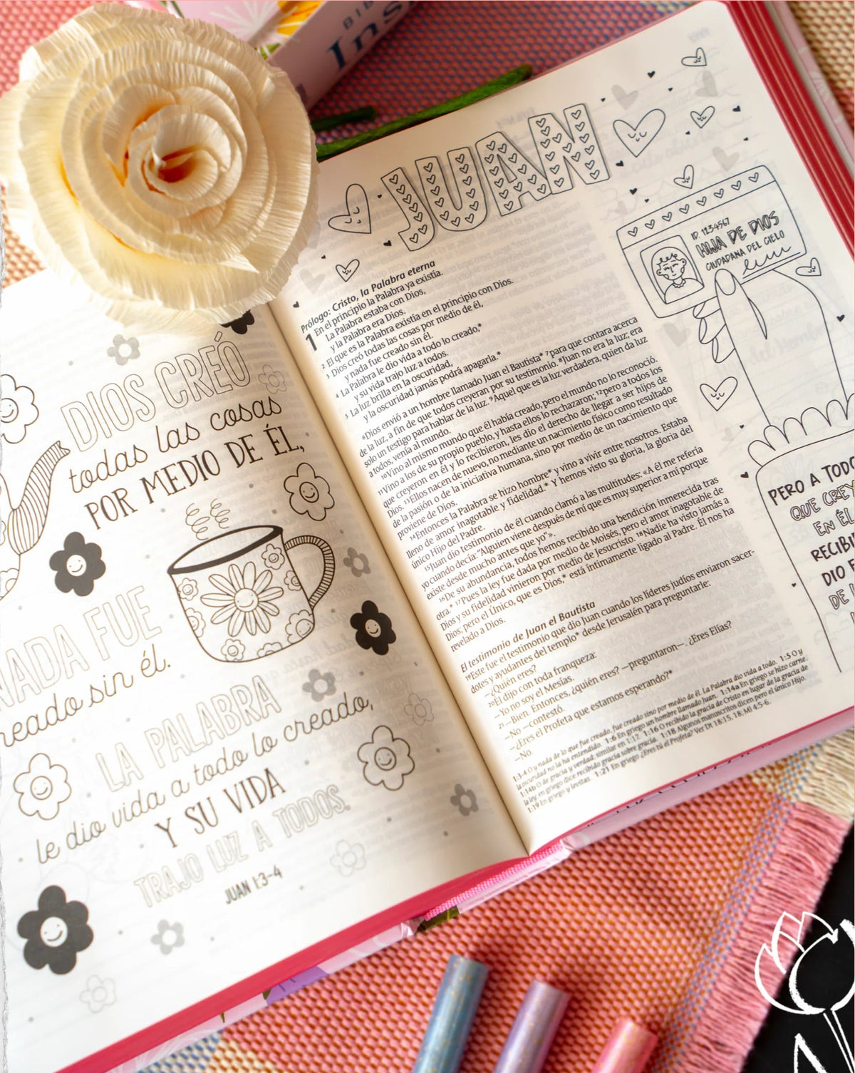 NTV: BIBLIA INSPIRA PARA NIÑAS