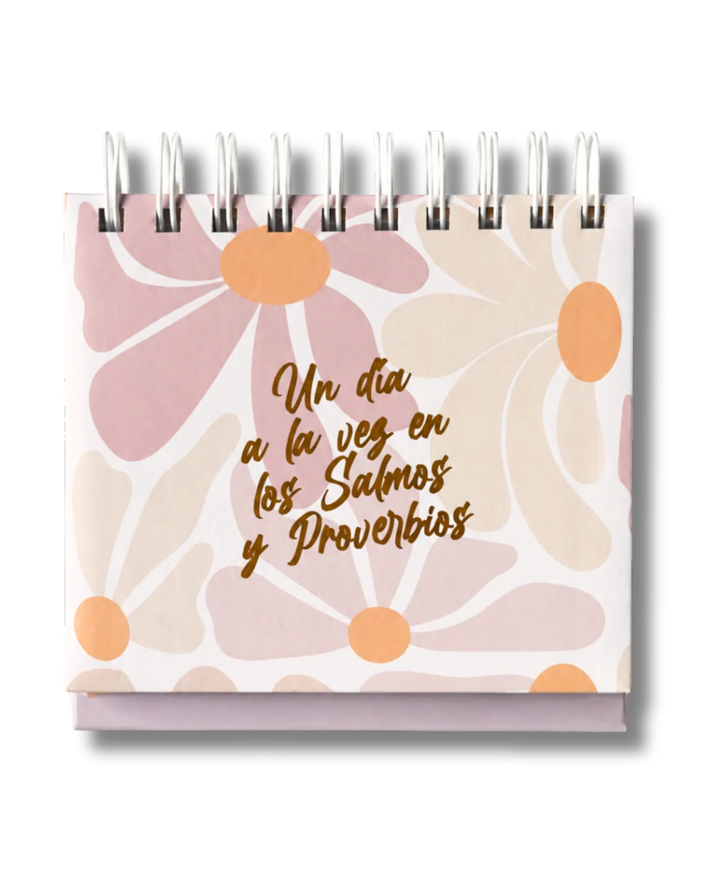 CALENDARIO PERPETUO DE MESA