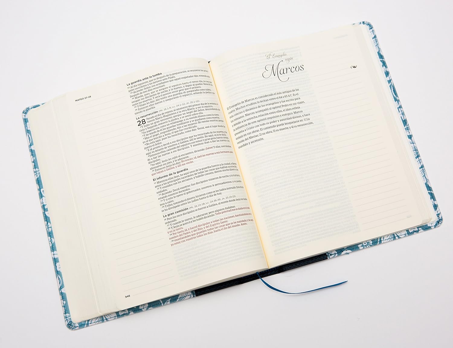 RVR60: BIBLIA DE APUNTES
