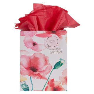 BOLSA DE REGALO: YOU’VE GOT THIS!