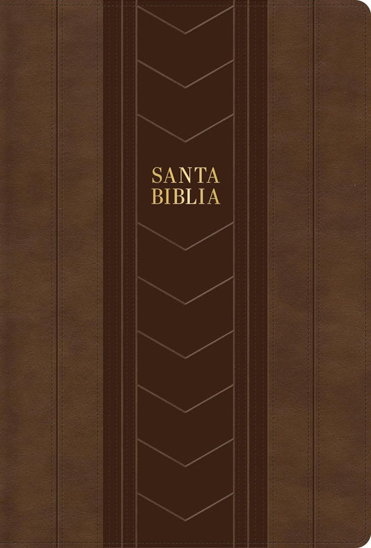 RVR60: SANTA BIBLIA LETRA GRANDE TAMAÑO MANUAL