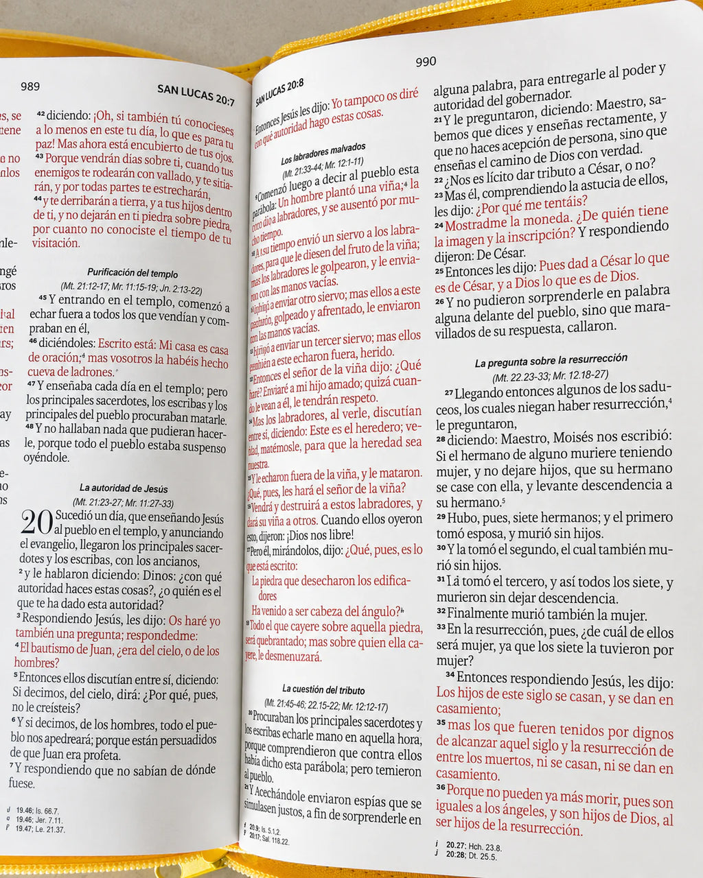 RVR60: SANTA BIBLIA