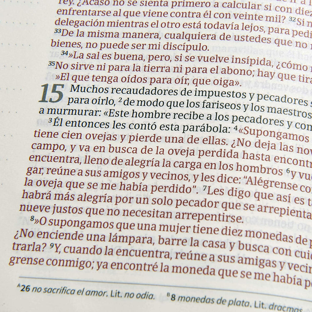 NVI: BIBLIA DE APUNTES (LETRA GRANDE)