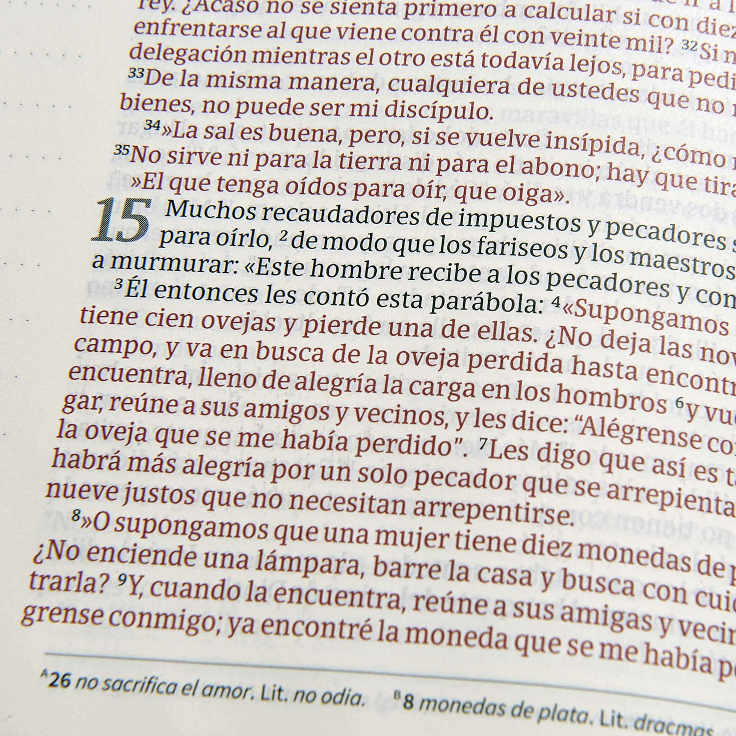 NVI: BIBLIA DE APUNTES (LETRA GRANDE)