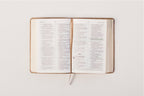 RVR60: BIBLIA DE PROMESAS COMPACTA