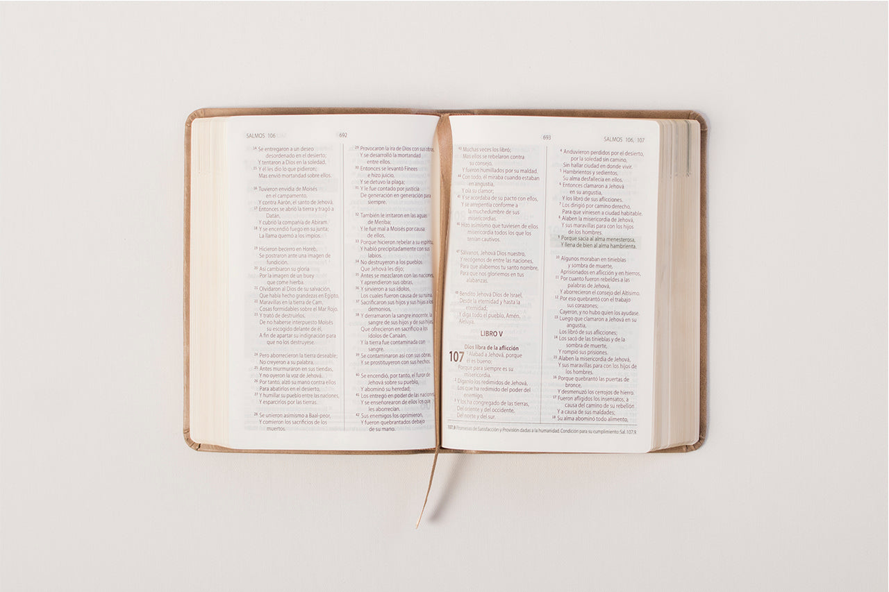 RVR60: BIBLIA DE PROMESAS COMPACTA