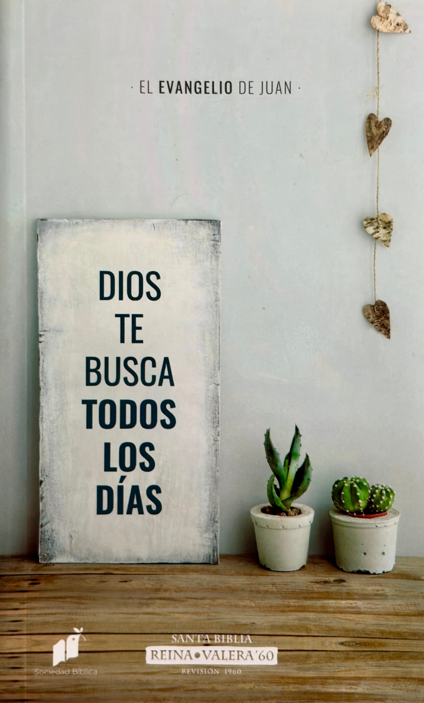 EL EVANGELIO DE JUAN: DIOS TE BUSCA TODOS LOS DÍAS