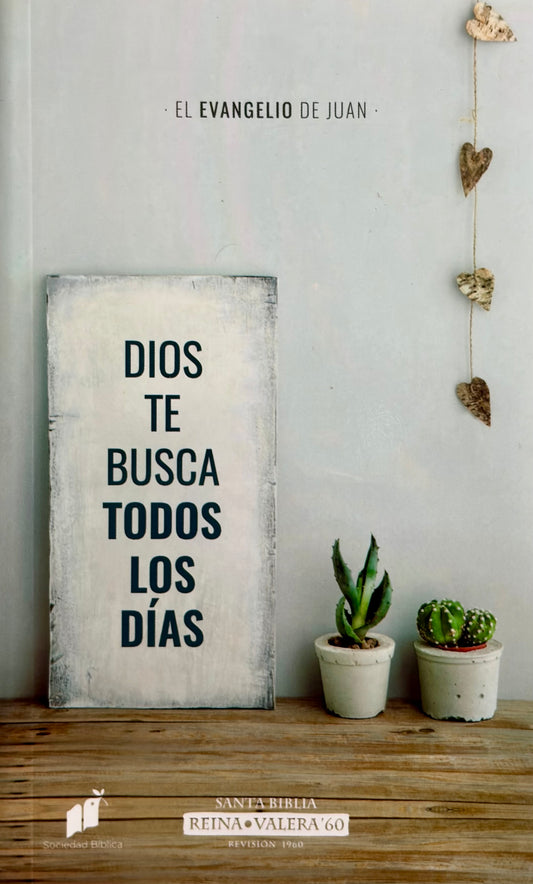 EL EVANGELIO DE JUAN: DIOS TE BUSCA TODOS LOS DÍAS