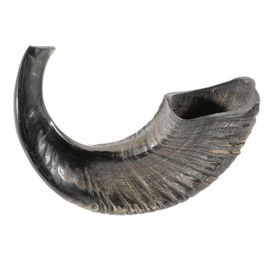 SHOFAR CUENO DE CARNERO