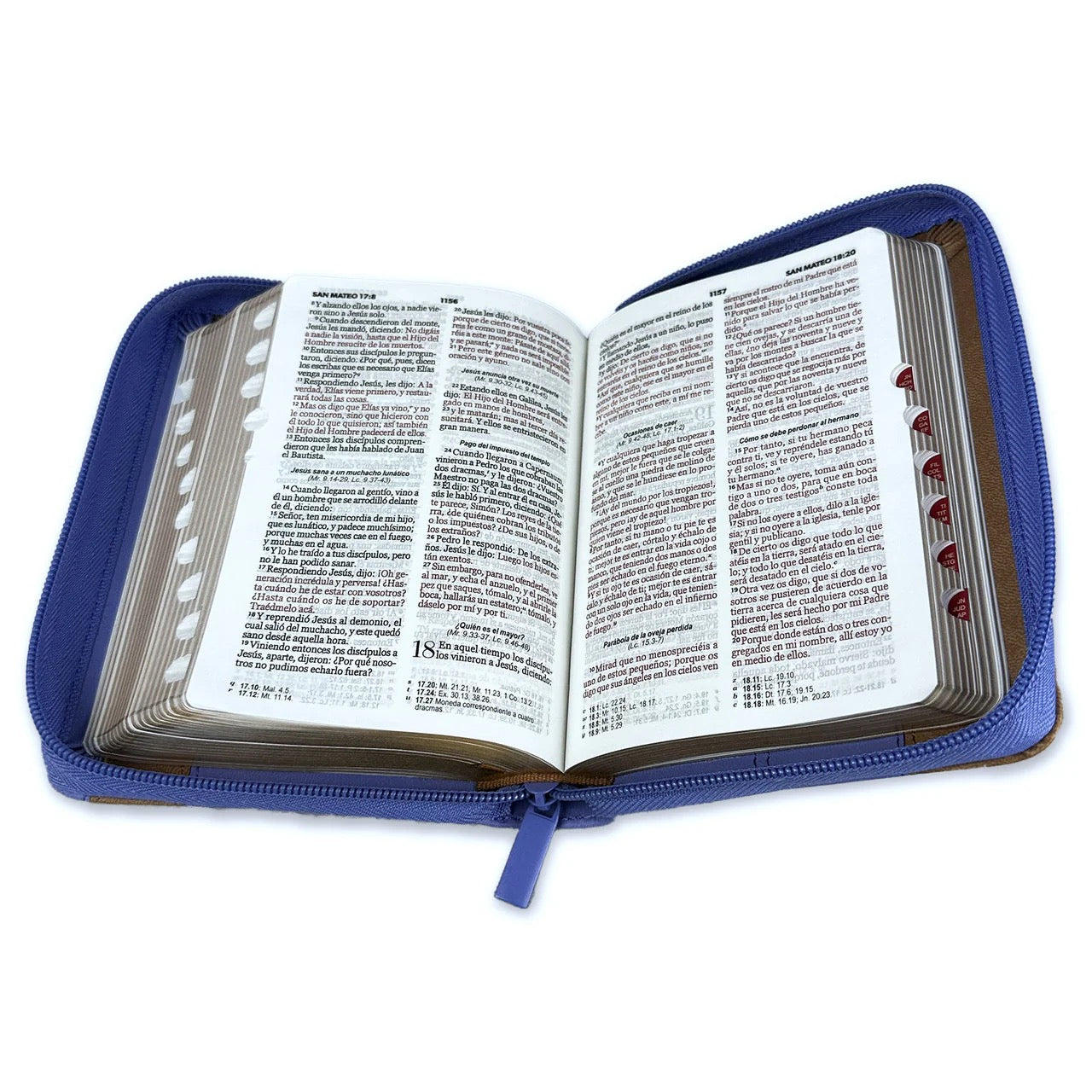 RVR60: BIBLIA DE BOLSILLO