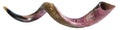 JUMBO SHOFAR YEMENÍ