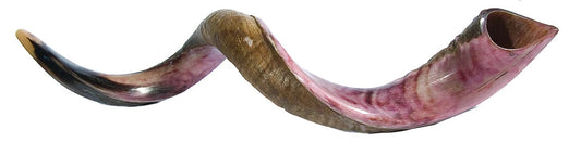 JUMBO SHOFAR YEMENÍ