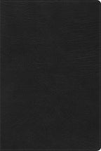 RVR60: BIBLIA DE ESTUDIO ARCOIRIS CON ÍNDICE