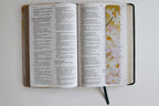 RVR60: SANTA BIBLIA LETRA GRANDE