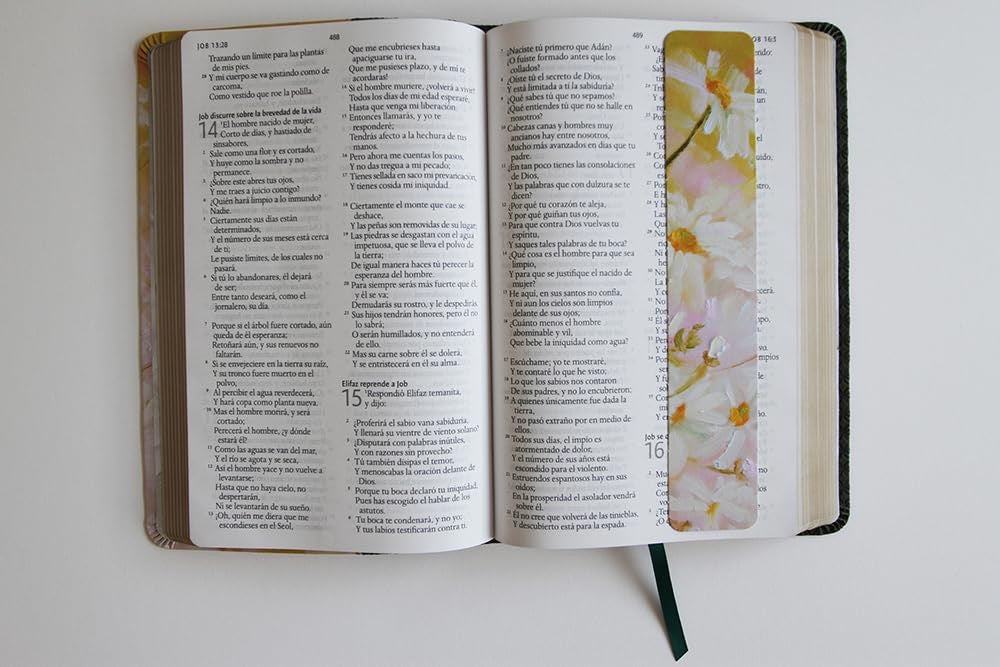 RVR60: SANTA BIBLIA LETRA GRANDE