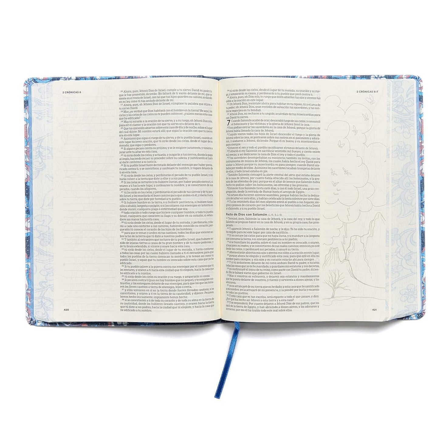 RVR60: BIBLIA DE APUNTES