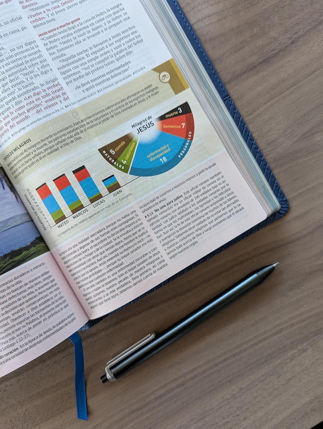 NTV: BIBLIA DE ESTUDIO PARA JÓVENES CON FILAMENT