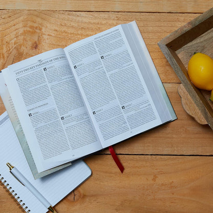 RVR60: NKJV MACARTHUR DAILY BIBLE