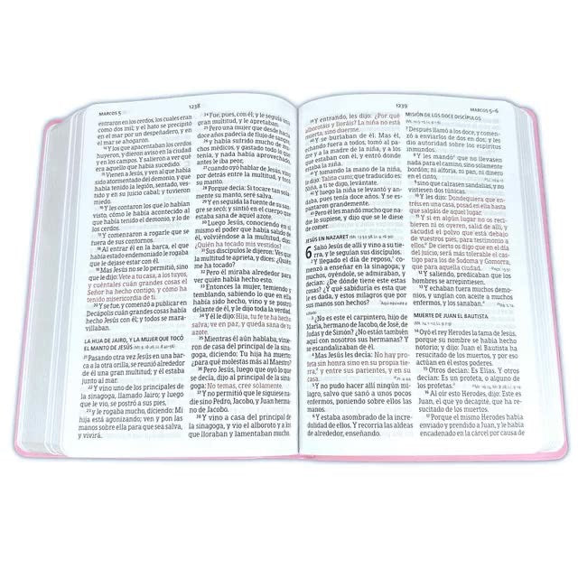 RVR60: SANTA BIBLIA LETRA GANDE TAMAÑO MANUAL