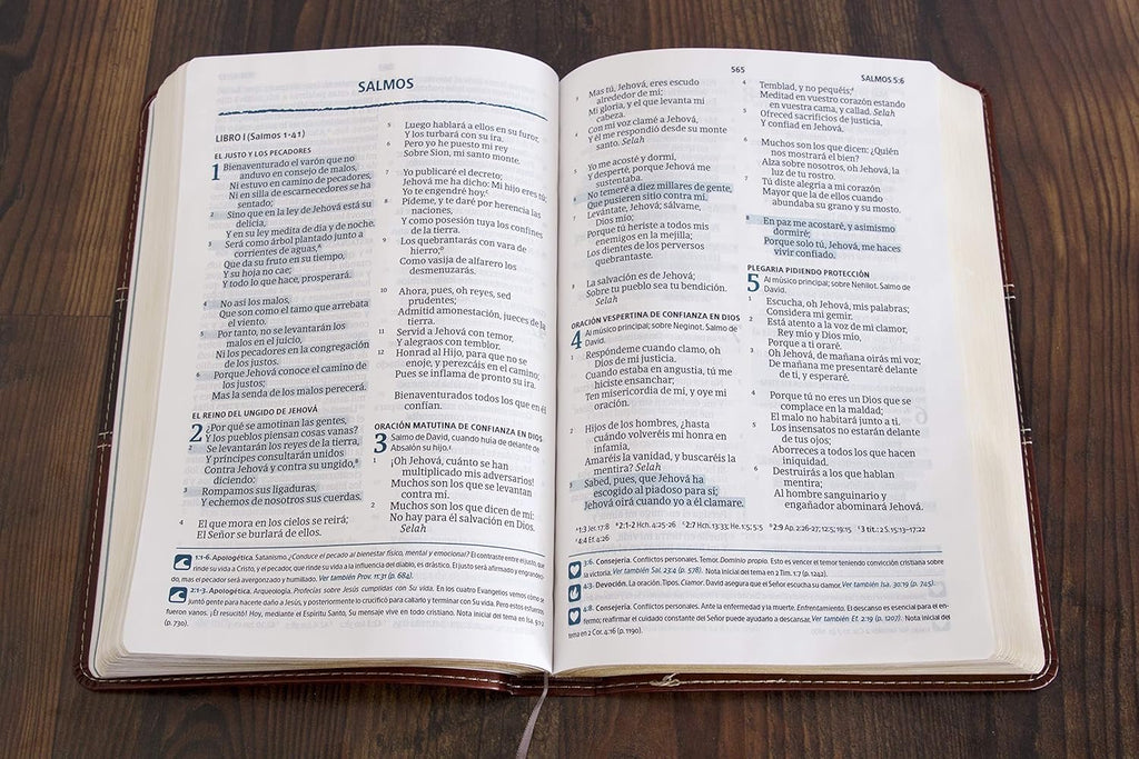 RVR60: LA BIBLIA DEL PESCADOR