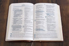 RVR60: LA BIBLIA DEL PESCADOR