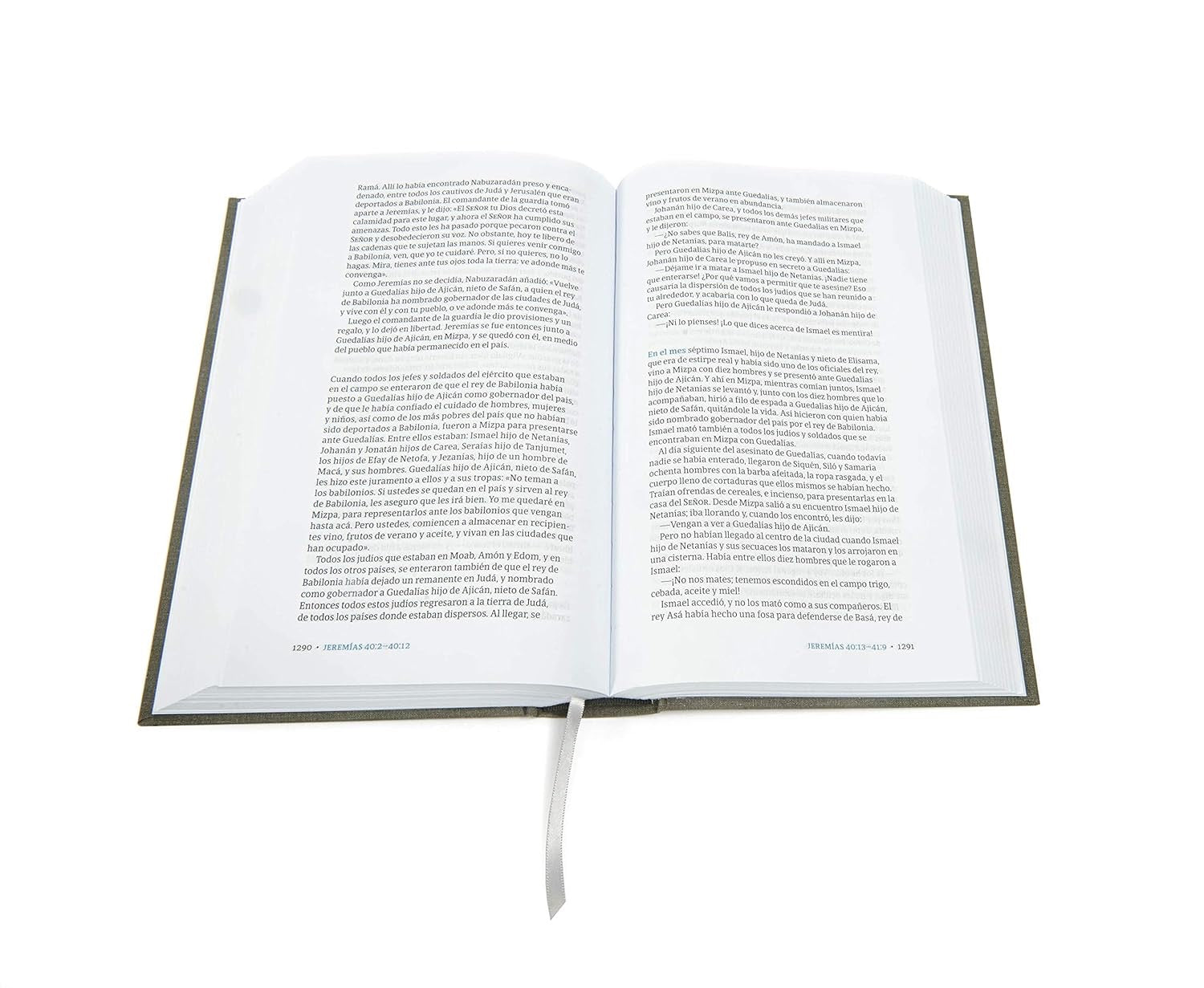 NVI: BIBLIA DEL LECTOR