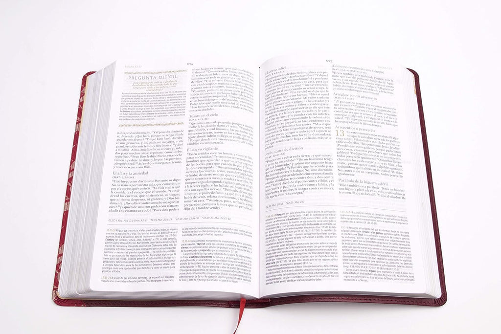 RVR560: BIBLIA DE ESTUDIO PARA MUJERES