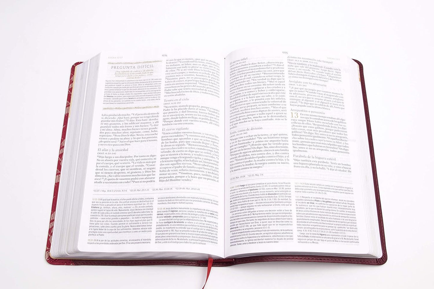 RVR560: BIBLIA DE ESTUDIO PARA MUJERES