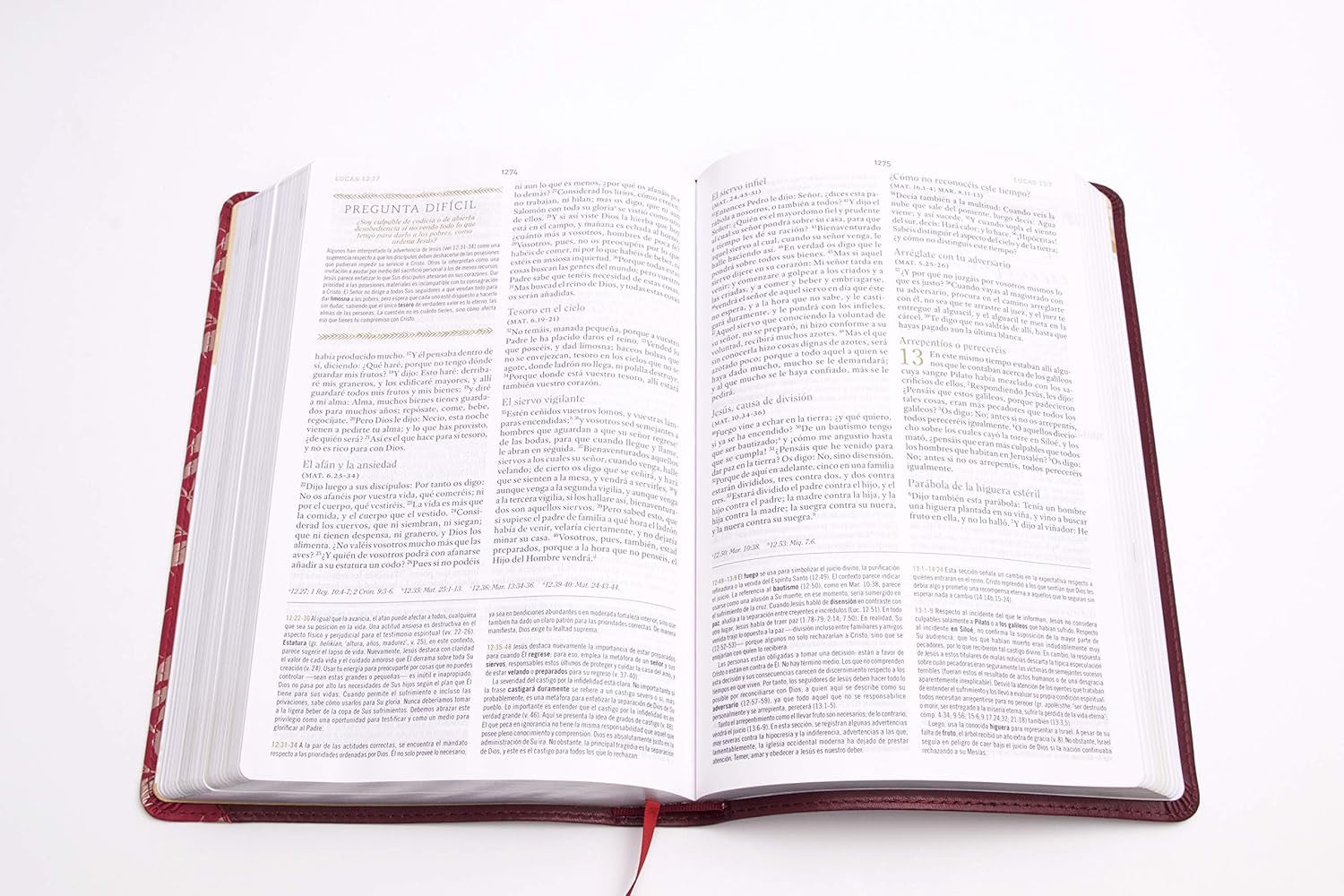 RVR560: BIBLIA DE ESTUDIO PARA MUJERES