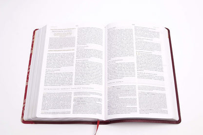 RVR560: BIBLIA DE ESTUDIO PARA MUJERES
