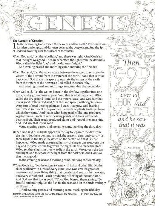 NTV: ISPIRE BIBLE NLT: THE BIBLE FOR COLORING & CREATIVE JOURNALING