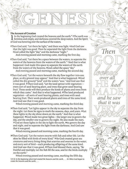 NTV: ISPIRE BIBLE NLT: THE BIBLE FOR COLORING & CREATIVE JOURNALING