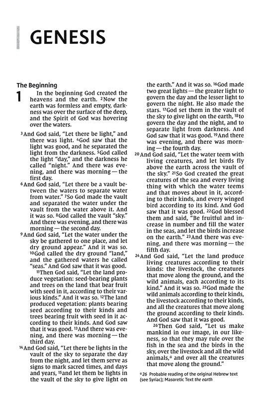 NIV: HOLY BIIBLE