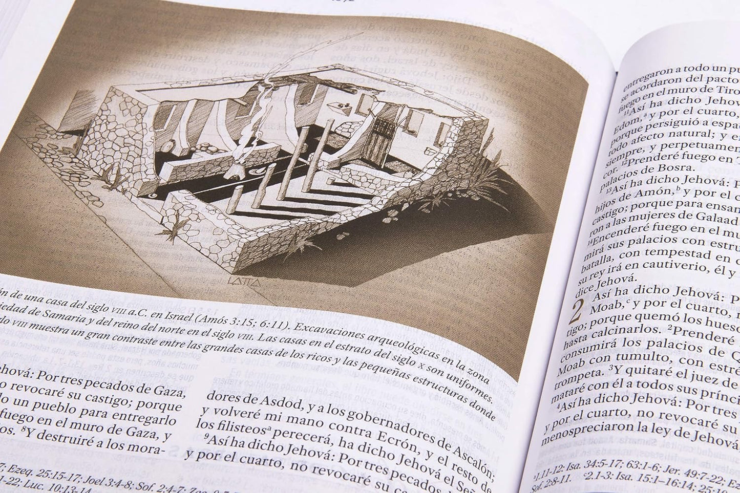 RVR560: BIBLIA DE ESTUDIO PARA MUJERES