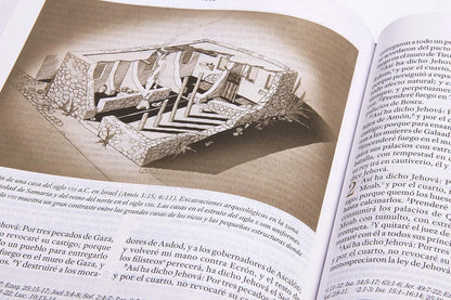 RVR560: BIBLIA DE ESTUDIO PARA MUJERES