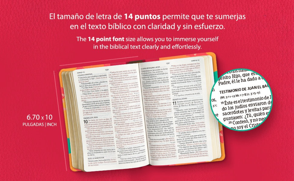 NVI: SABTA BIBLIA LETRA GIGANTE