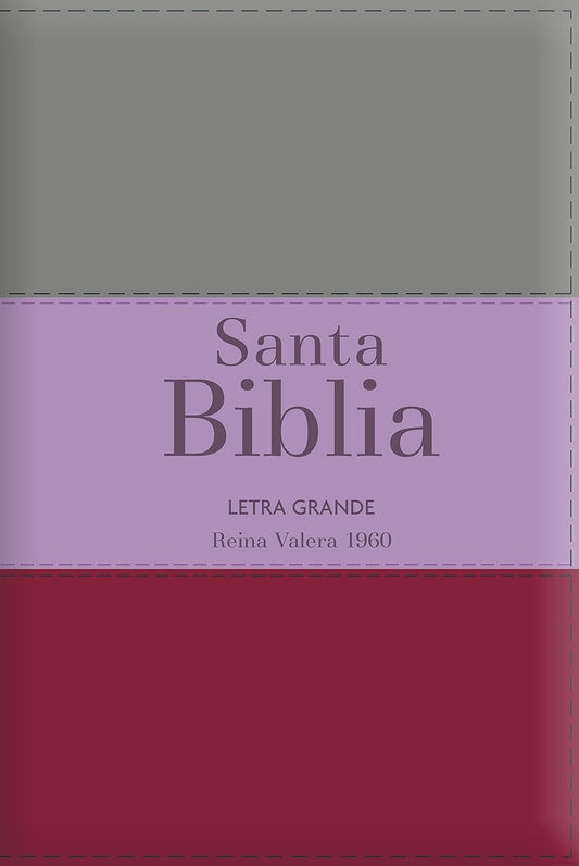 RVR60: BIBLIA LETRA GRANDE TAMAÑO MANUAL