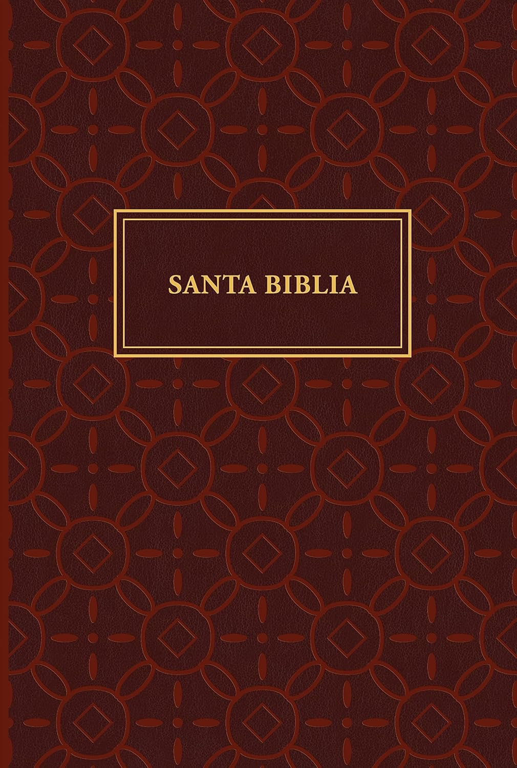 RVR60: SANTA BIBLIA LETRA GIGANTE