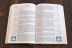 RVR60: LA BIBLIA DEL PESCADOR