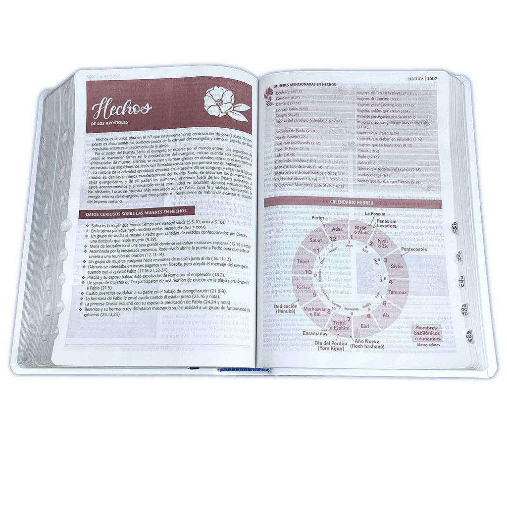 RVR60: BIBLIA DE ESTUDIO SER MUJER