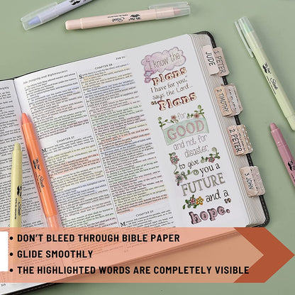 MR. PEN RESALTADORES EN GEL