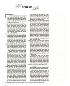 NVI: NIV ARTISIAN COLLECTION BIBLE