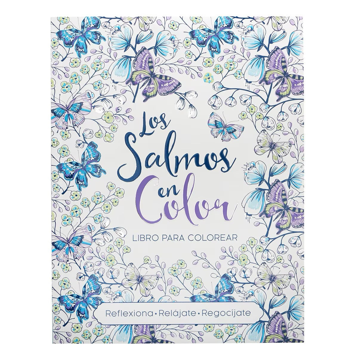 LIBRO PARA COLOREAR: LOS SALMOS EN COLOR