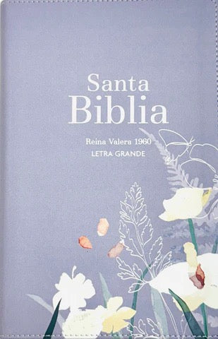 RVR60: SANTA BIBLIA