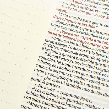 NVI: BIBLIA DE APUNTES LETRA GRANDE