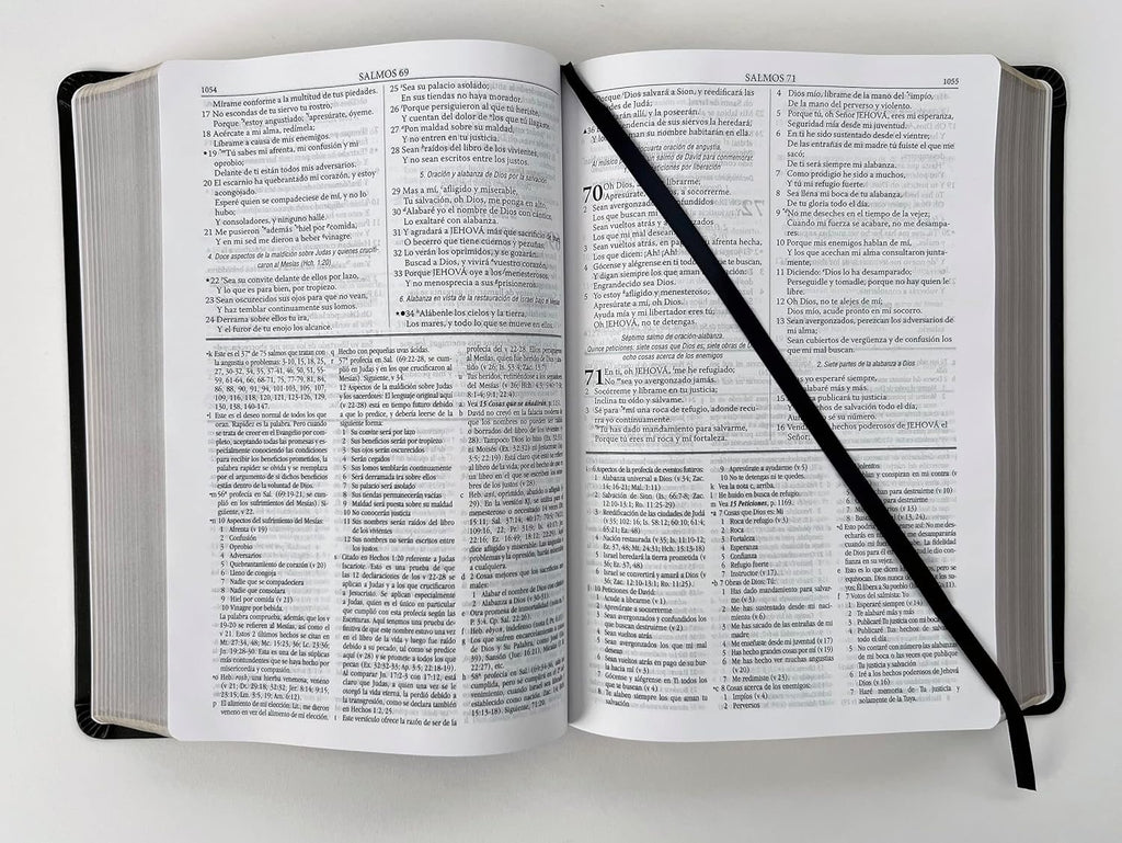 RVR60: BIBLIA DE ESTUDIO DAKE