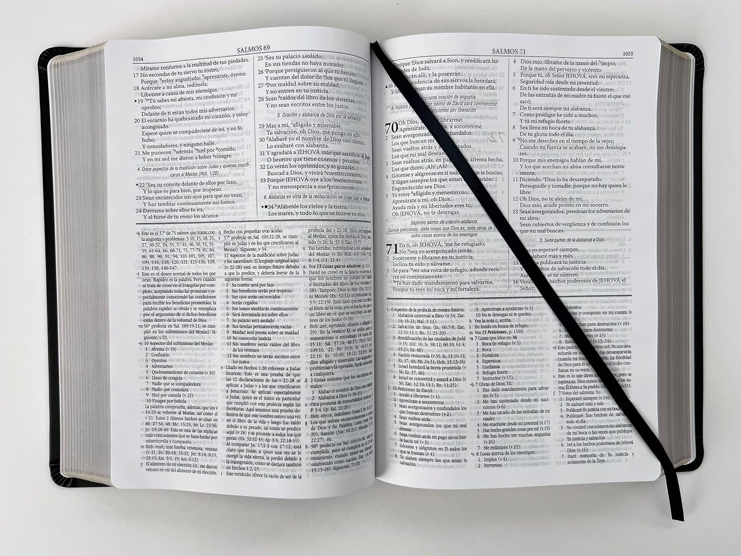 RVR60: BIBLIA DE ESTUDIO DAKE