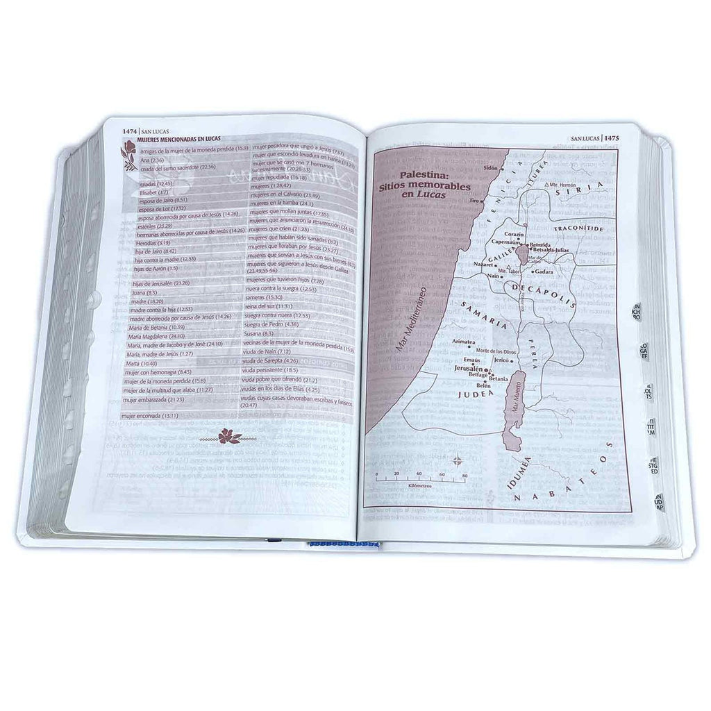 RVR60: BIBLIA DE ESTUDIO SER MUJER